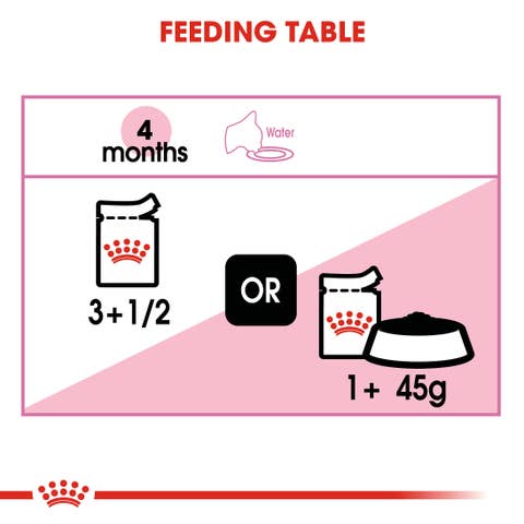 Royal Canin - Kitten Jelly Wet Food For Cat