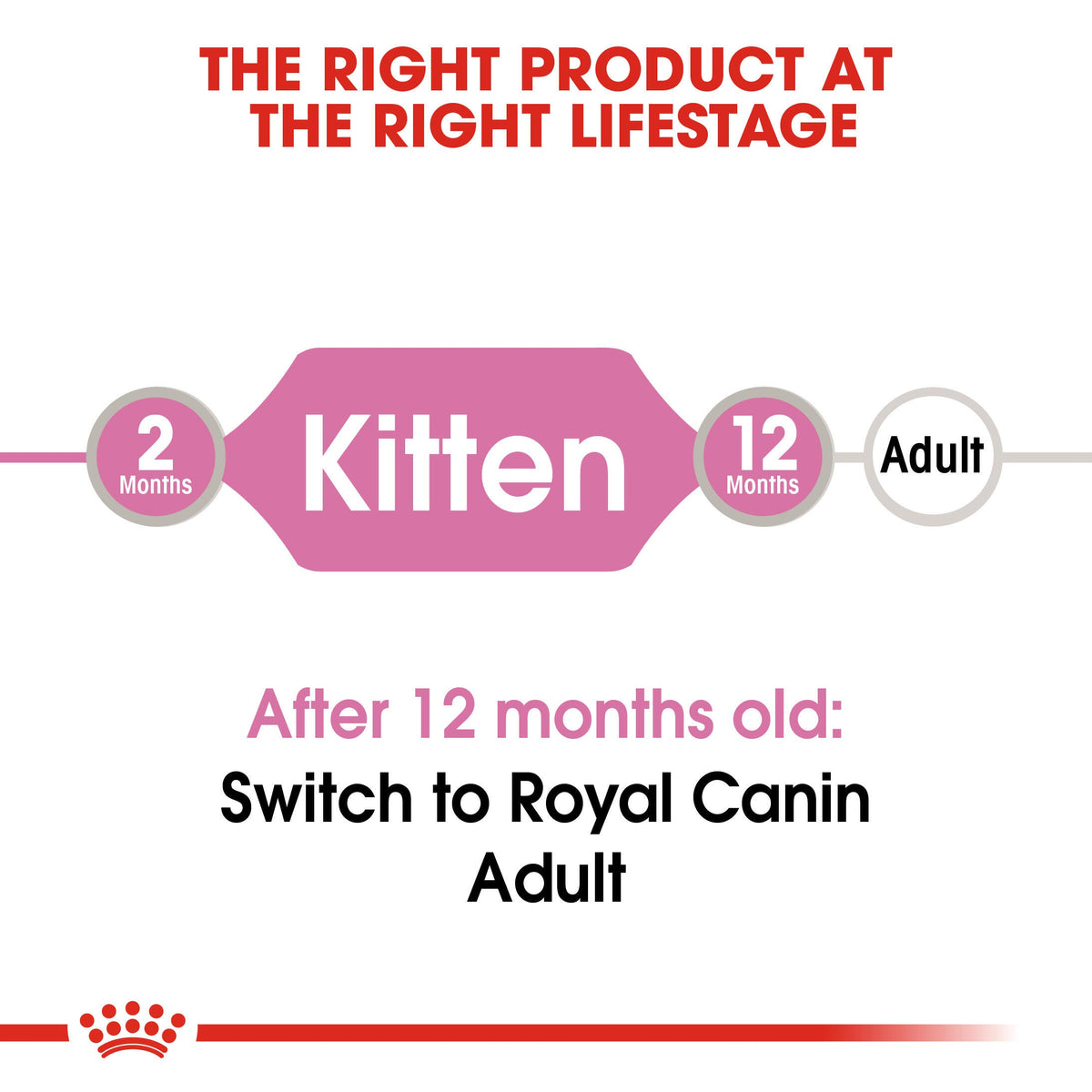 Royal Canin- Persian Kitten Dry Food For Cat