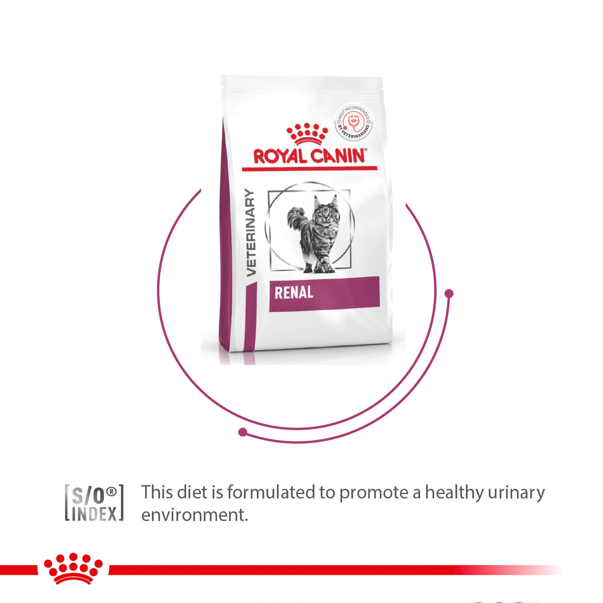 Royal Canin-Renal Feline Dry Dry Food For Cat