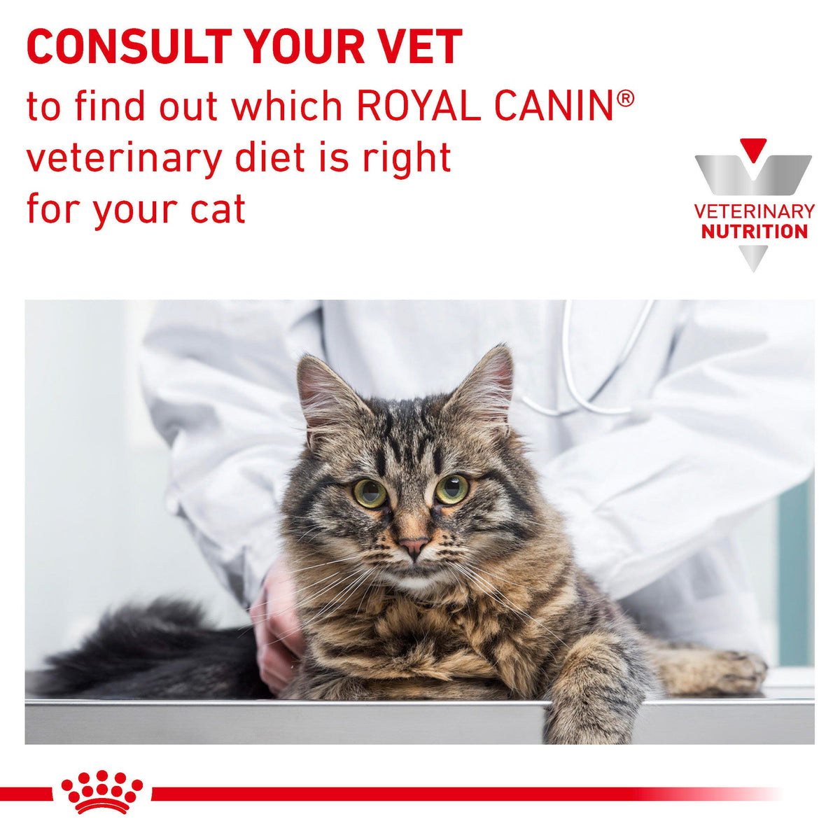 Royal Canin - GASTROINTESTINAL KITTEN CAN  Wet food for Cat