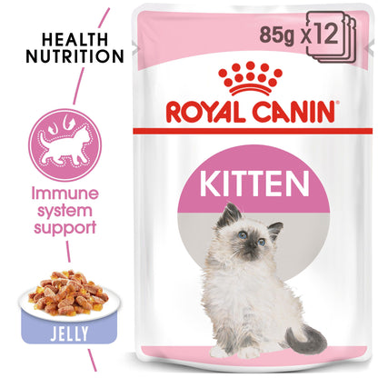 Royal Canin -Kitten Dry Food For Cat