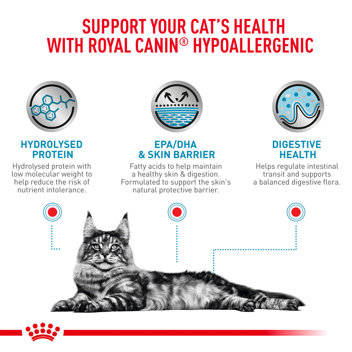 Royal Canin - Veterinary Hypoallergenic Dry Food For Cat