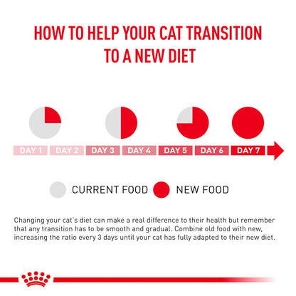 Royal Canin - URINARY S/O Dry Food For Cat