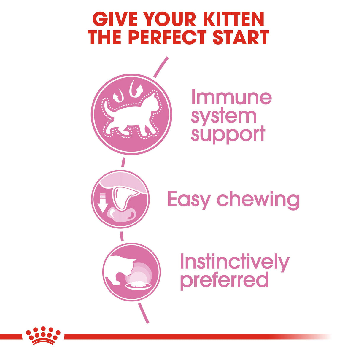 Royal Canin- Persian Kitten Dry Food For Cat