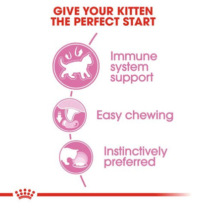 Royal Canin - Kitten Jelly Wet Food For Cat