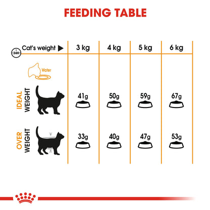 Royal Canin- Hair And Skin Care Dry Food For Cat