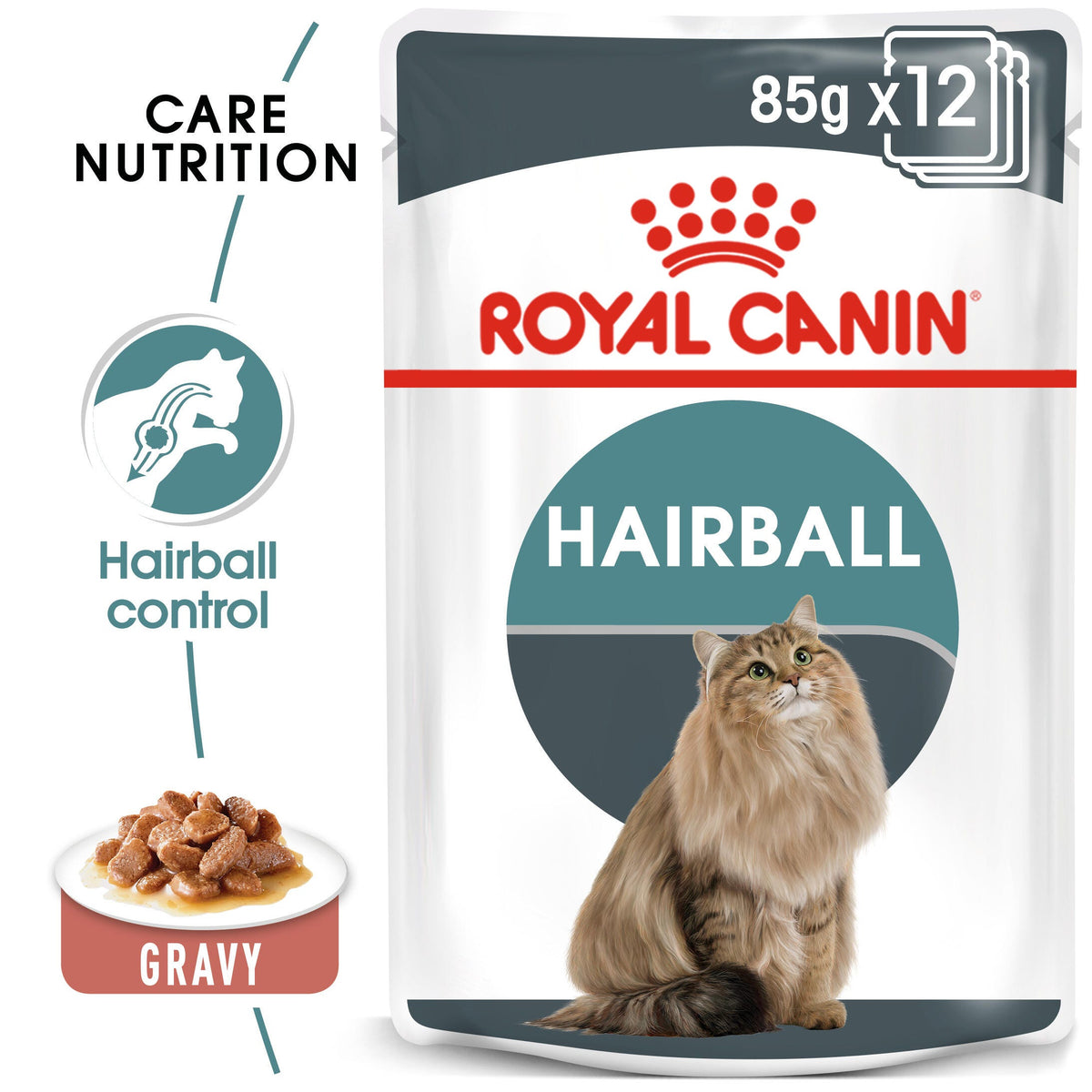 Royal Canin- Hairball Care Gravy Wet Food For Cat