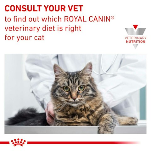 Royal  Canin-Early Renal Dry food for cats