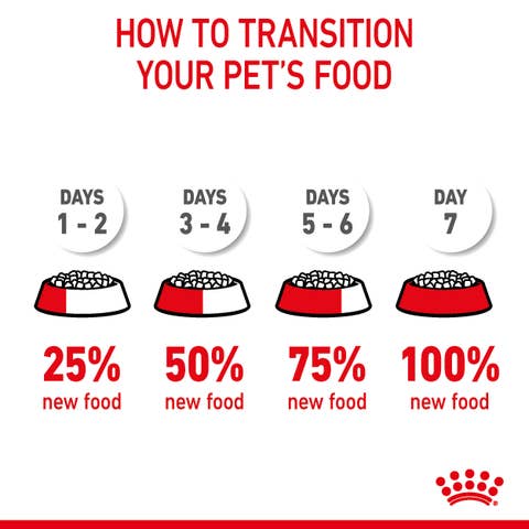 Royal Canin - Hairball Care Dry Food For Cat