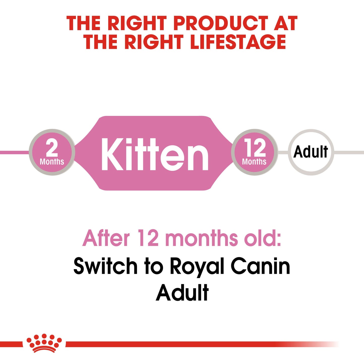 Royal Canin- Persian Kitten Dry Food For Cat
