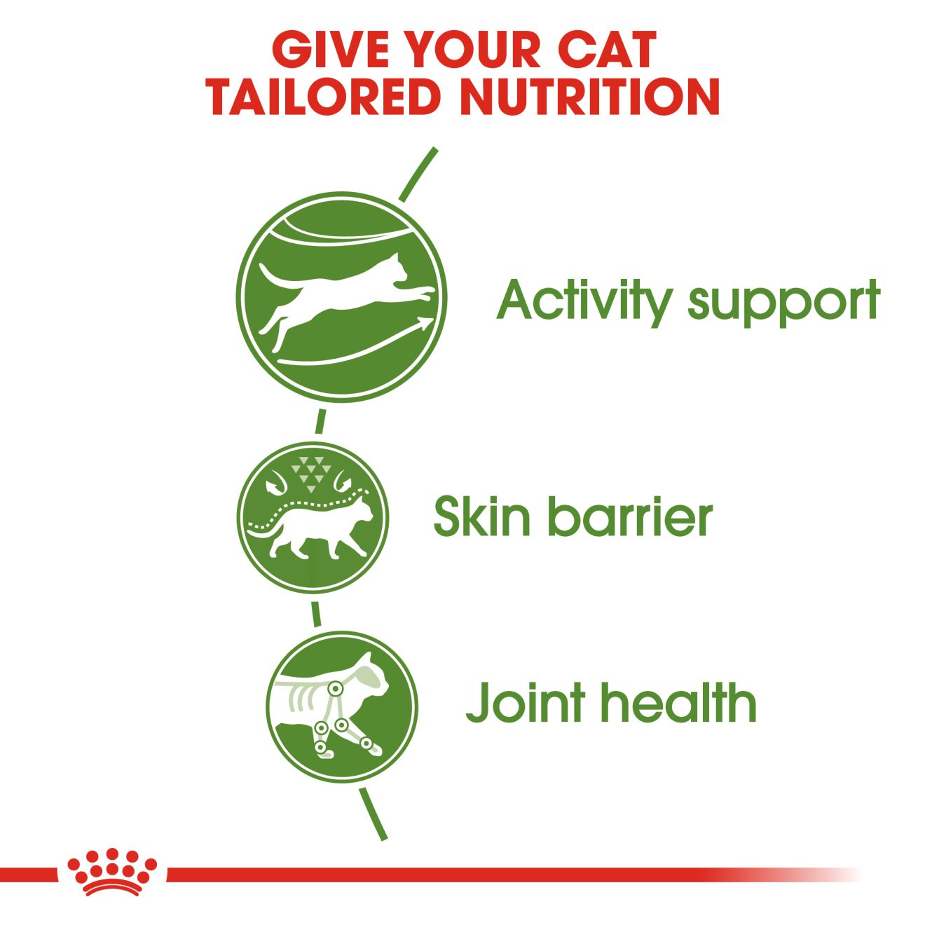 Royal Canin- Outdoor Dry food for Cat