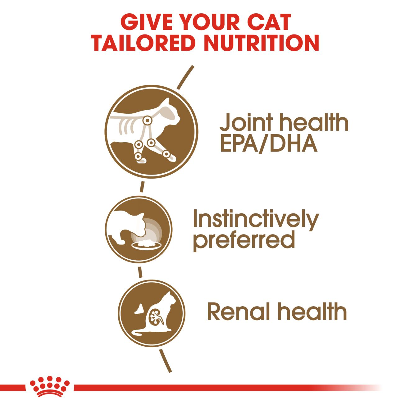 Royal Canin - Ageing 12+ Gravy Wet food for Cat