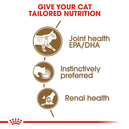 Royal Canin - Ageing 12+ Gravy Wet food for Cat
